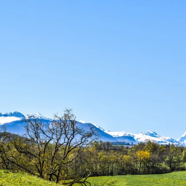 Balades et randonnées à Pau Béarn Pyrénées