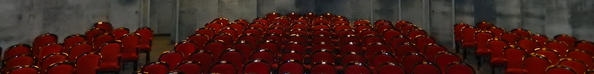 Théâtre Saint-Louis - Pau