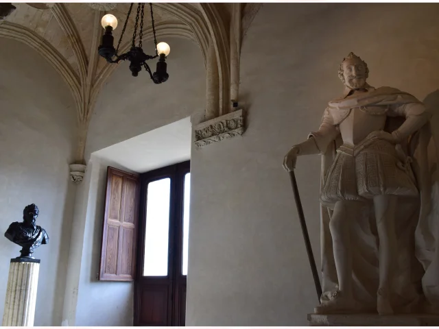 Château de Pau - Henri IV