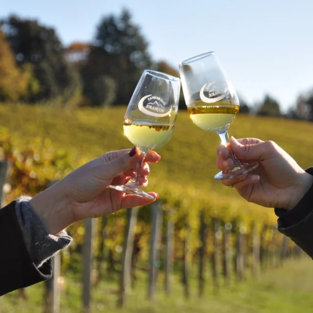 Dégustation de vin de Jurançon