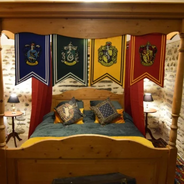 Location saisonnière - Paudlard pour fan d'Harry Potter - Pau