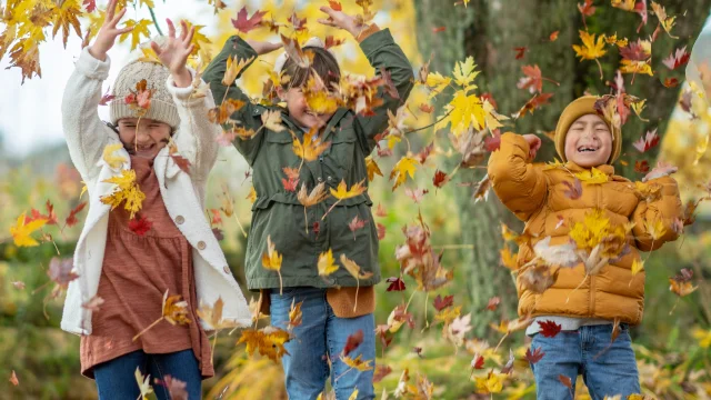 Mes vacances de la Toussaint à Pau