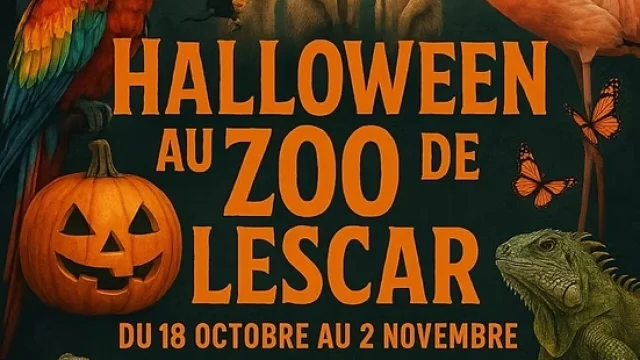 Halloween Zoo Lescar