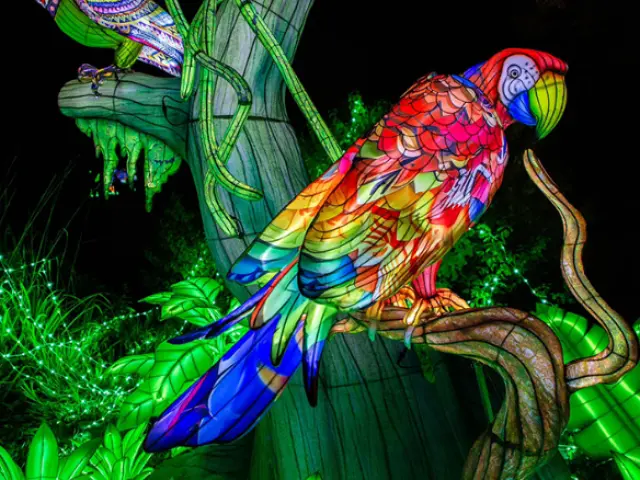 Capture Decran 2025 03 05 020832