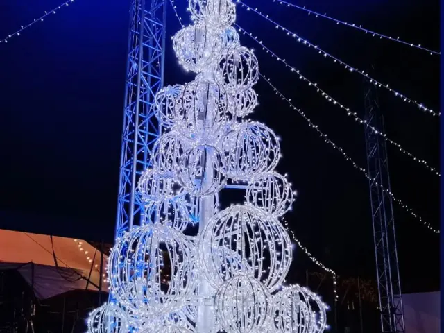 Les Feeries Du Hedas Giant Fir