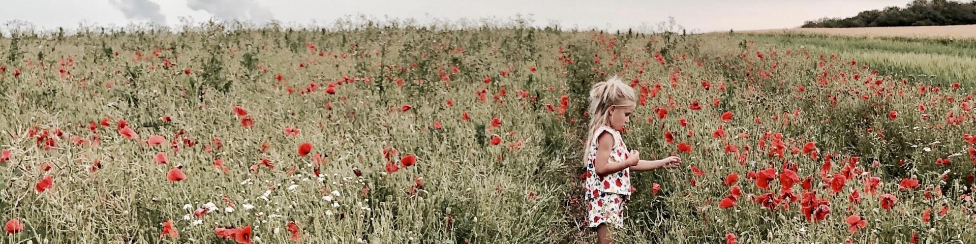 Champ Coquelicot Inglange