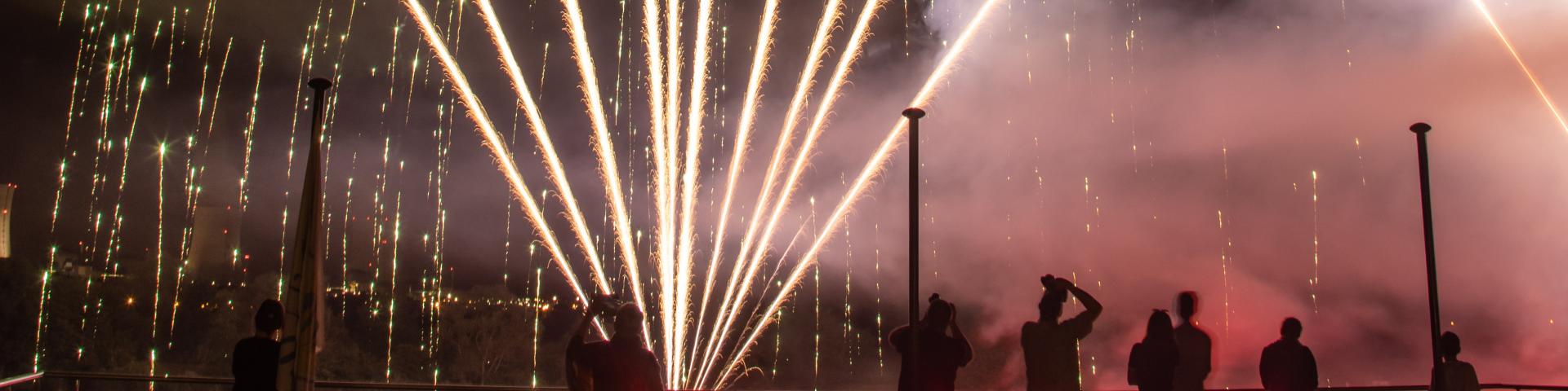 Feu Artifice - Fete De L Eau - Basse Ham