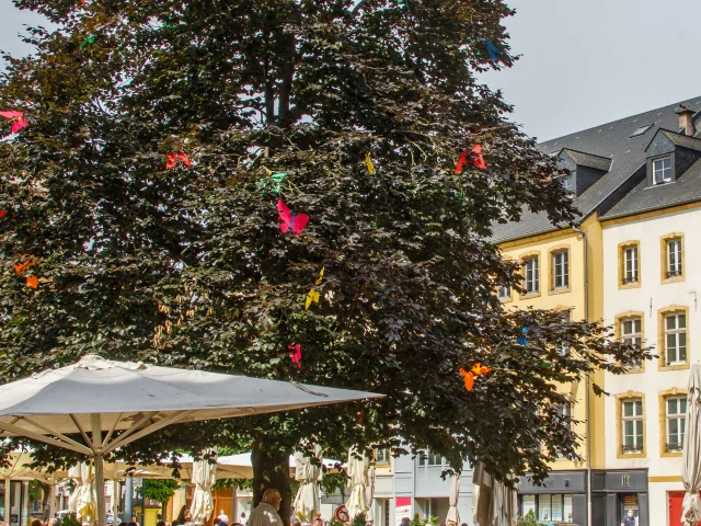 Place Anne Grommerch - Thionville