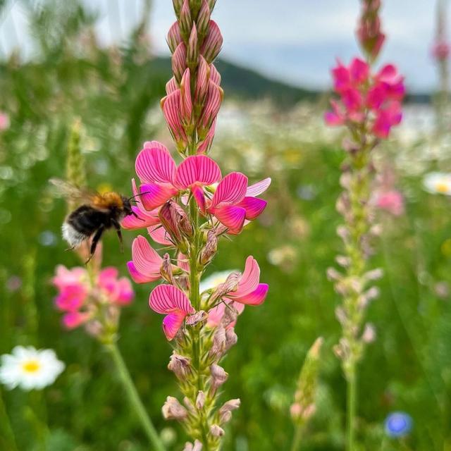 Instagram #paysthionvilloistourisme
