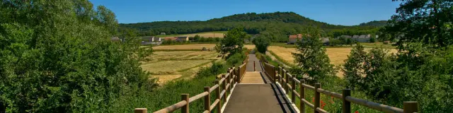 8-S5 Between Bibiche and Canner