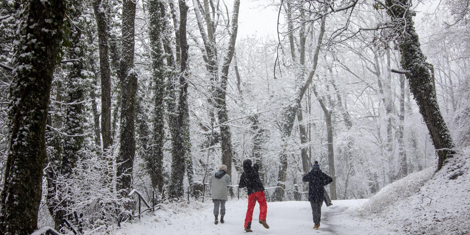Neige au Pays Thionvillois