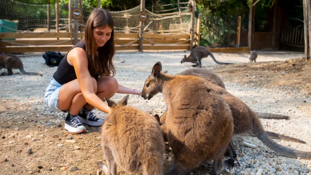 Zoo d'Amnéville