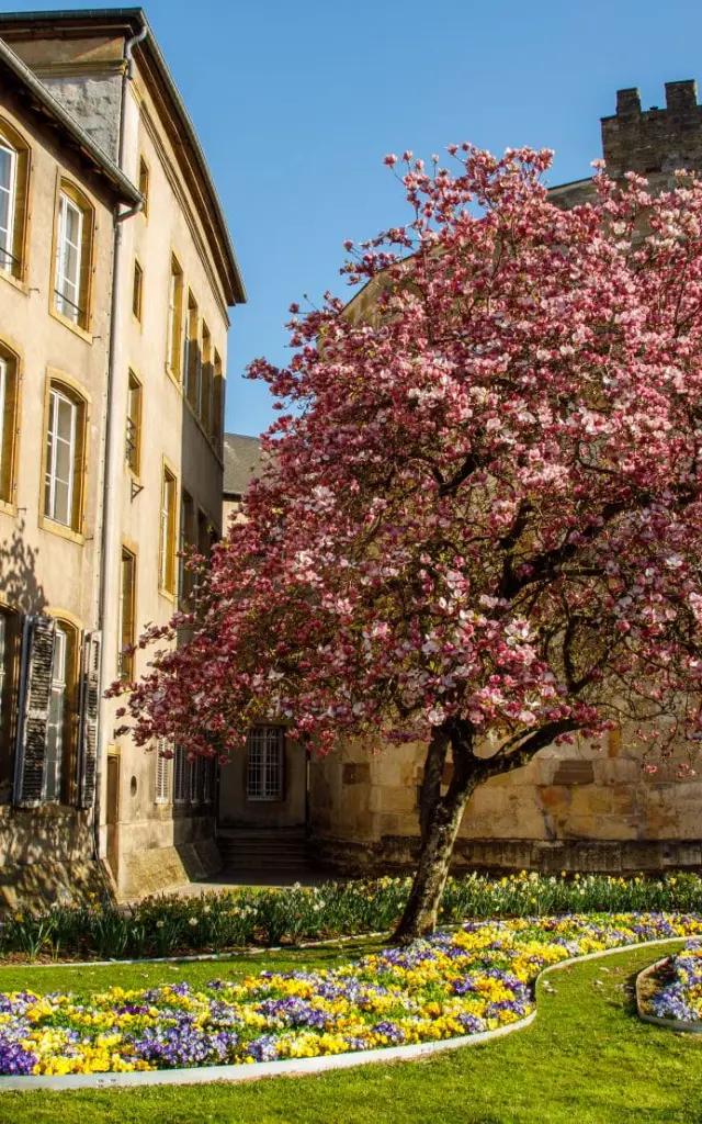 Musée de la Tour aux Puces - Thionville