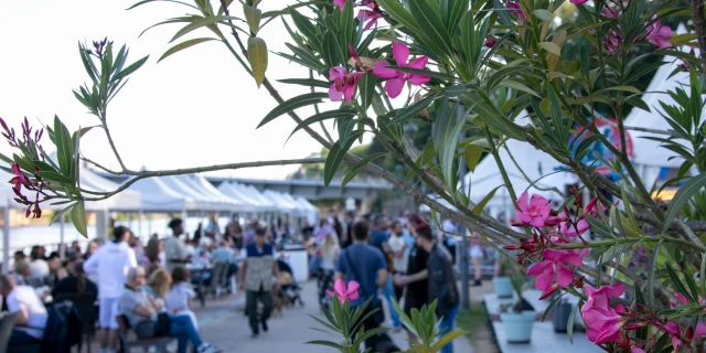 Rive et coeur de Ville en Fête