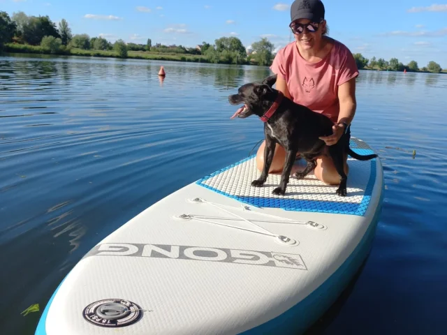 Cani paddle sur la Moselle
