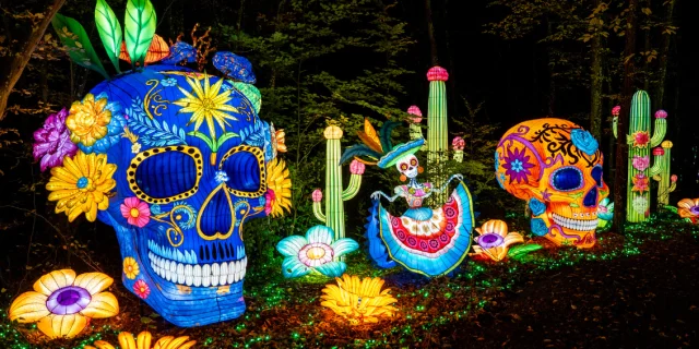 Festival Luminescences - Fiesta Latina