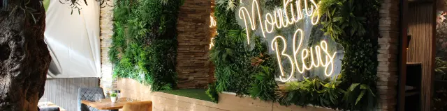 Restaurant Les Moulins Bleus