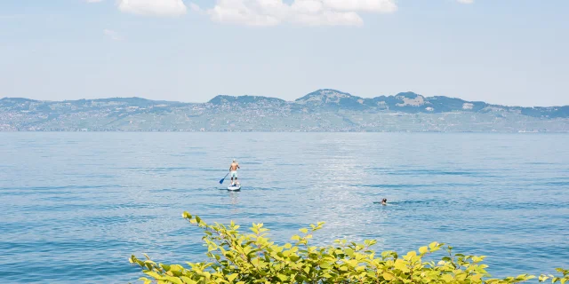20._Paddle_au_large_de_la_plage_de_Vindry_a_Lugrin_Nicolas_Blandin.jpg