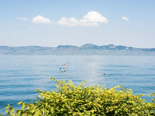 20._Paddle_au_large_de_la_plage_de_Vindry_a_Lugrin_Nicolas_Blandin.jpg