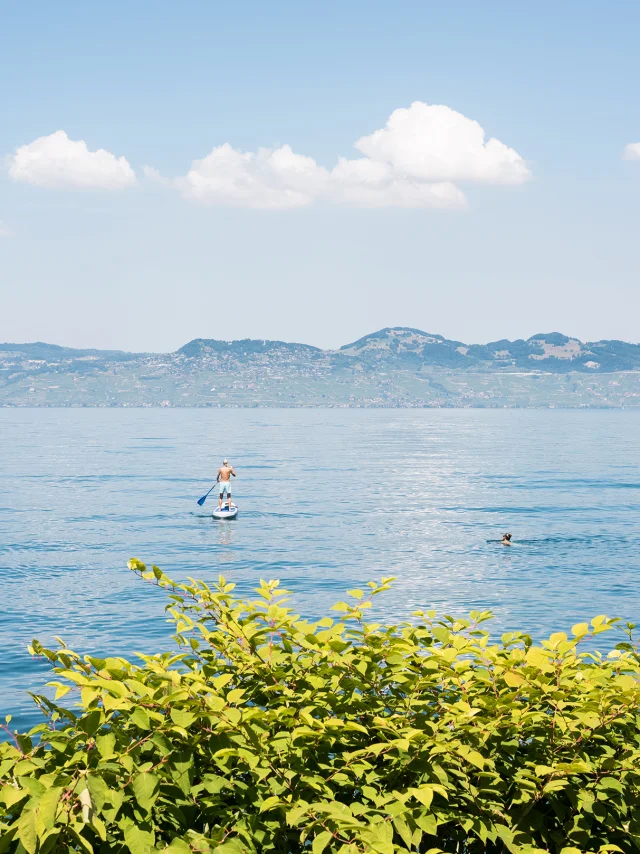 20._Paddle_au_large_de_la_plage_de_Vindry_a_Lugrin_Nicolas_Blandin.jpg