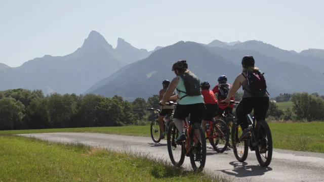 Bellicime Velo Vtt