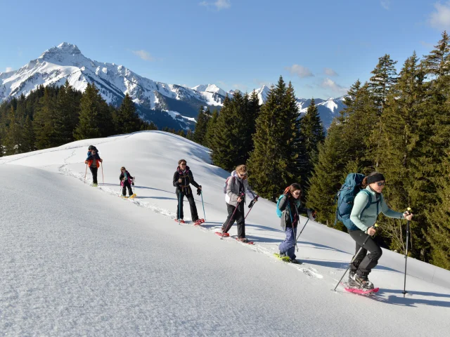 Snowshoeing Abondance