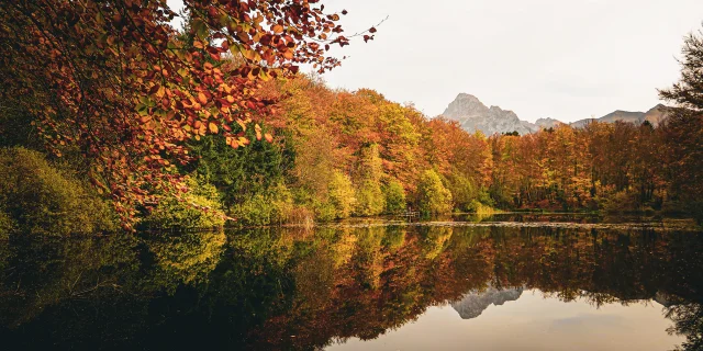 Lac_noir_Saint_Paul_en_chablais_23_10_2022_Mathilde_Pruvot_34.jpeg