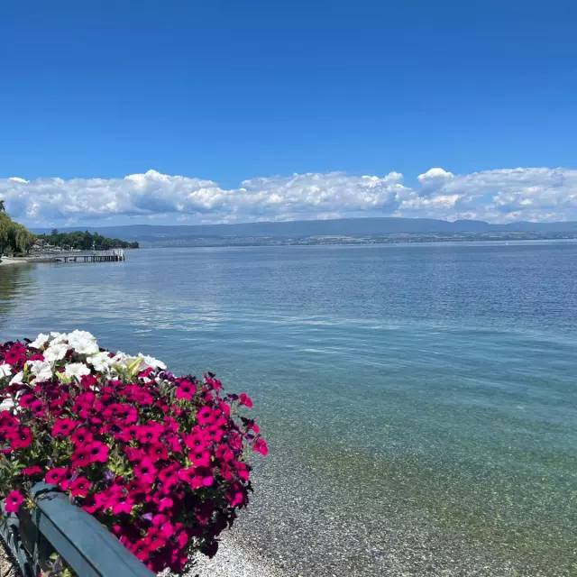 Pink flowerpot by the lake in summer