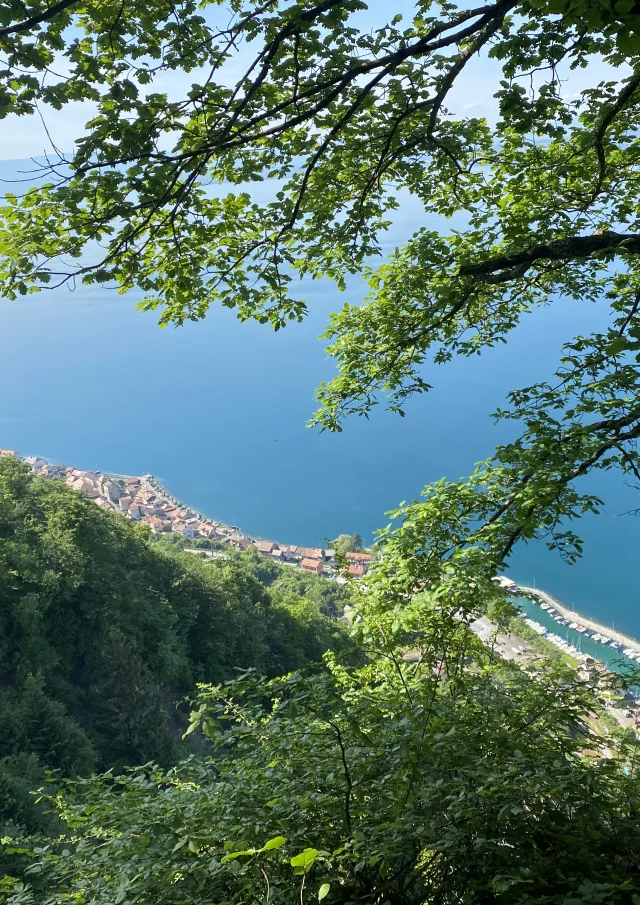 Sentier Du Littoral Meillerie hiking trail