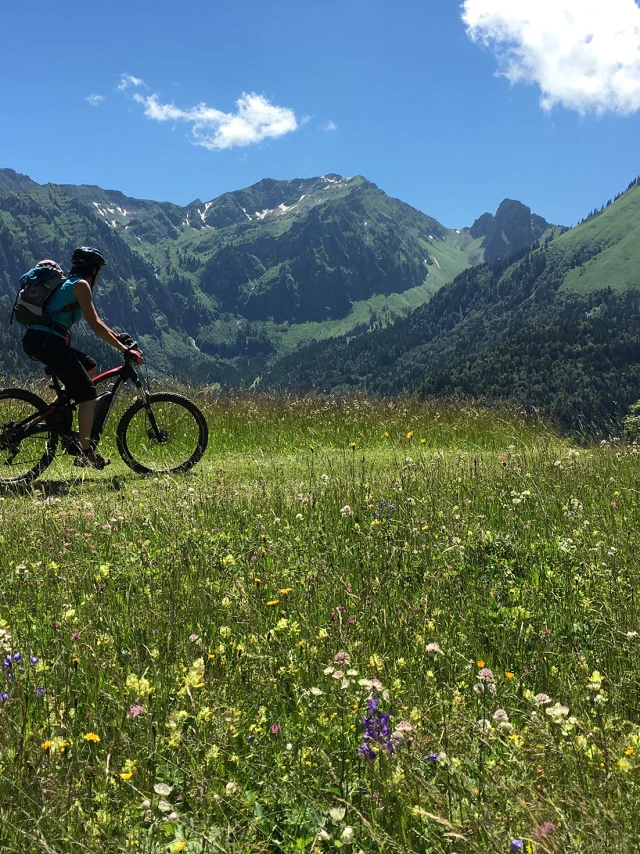 VTT_electrique-enquernaz-PDS.jpg