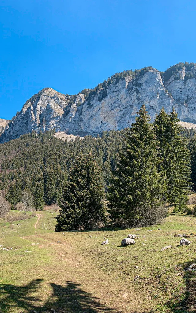bois_de_la_corne_thollon_mathilde_pruvot_4.jpg