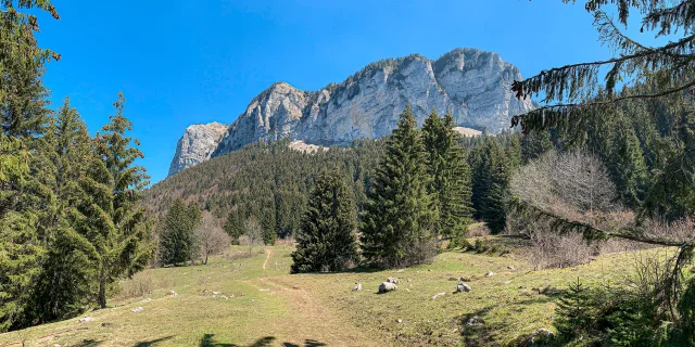 bois_de_la_corne_thollon_mathilde_pruvot_4.jpg