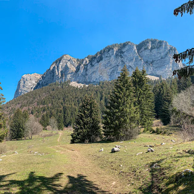 bois_de_la_corne_thollon_mathilde_pruvot_4.jpg