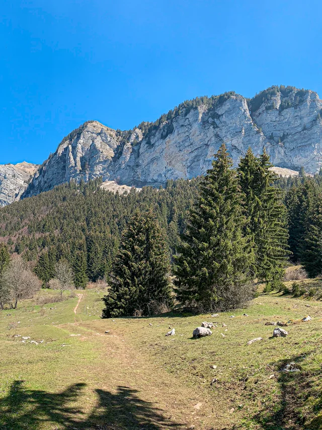 bois_de_la_corne_thollon_mathilde_pruvot_4.jpg