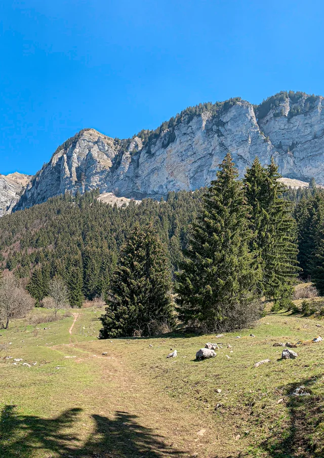 bois_de_la_corne_thollon_mathilde_pruvot_4.jpg