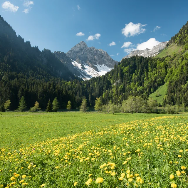 Lake Plagnes Abondance May18 2