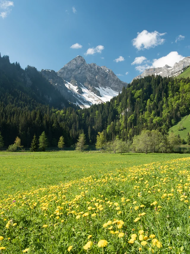 Lac Plagnes Abondance Mai18 2