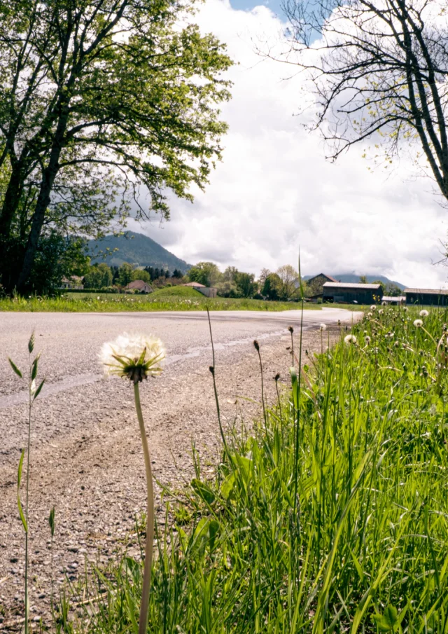 Larringes 170524 Printemps Marie El Hajal 09