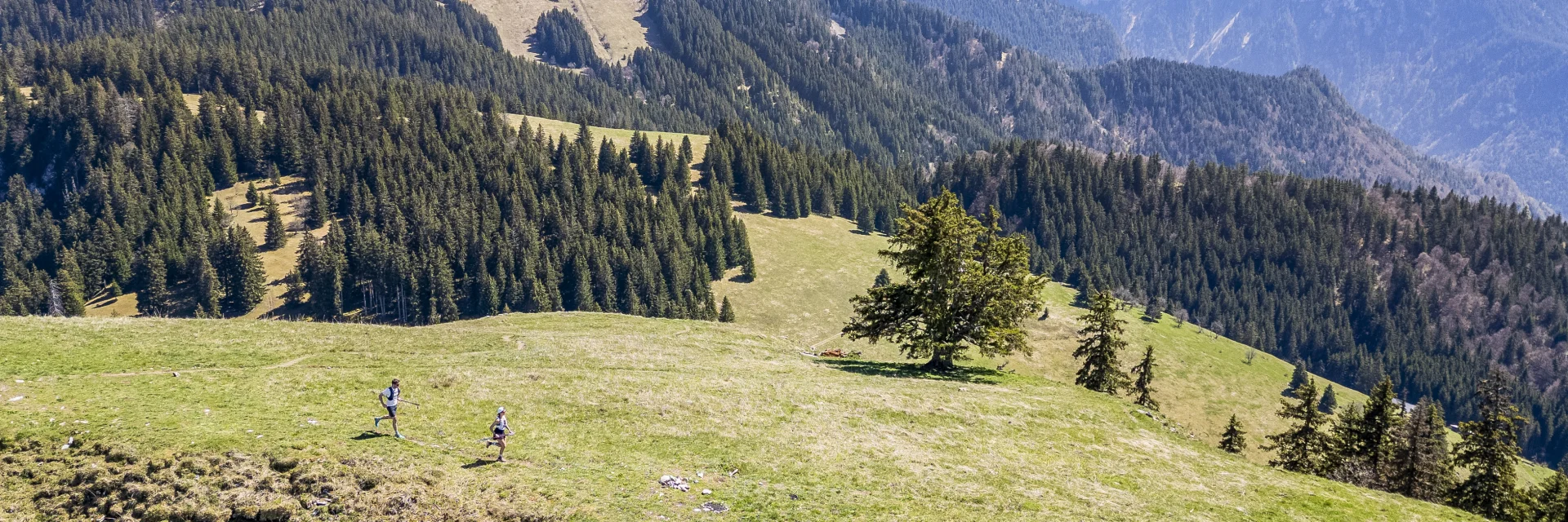 Trail Mont Baron