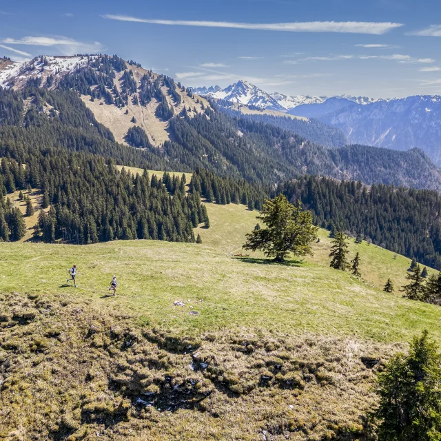 Trail Mont Baron