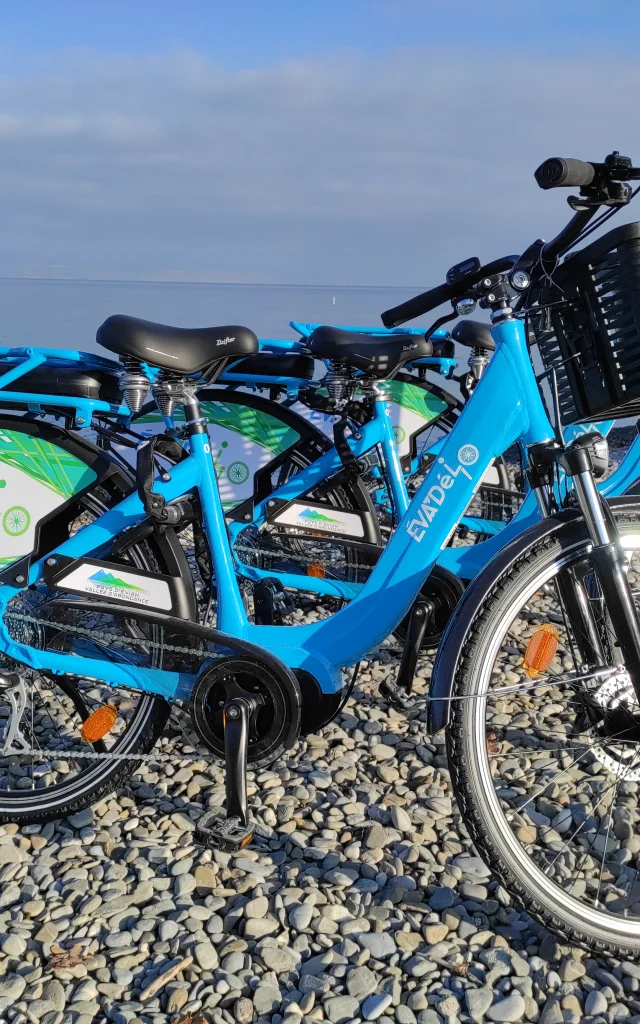 Velo Evad 2