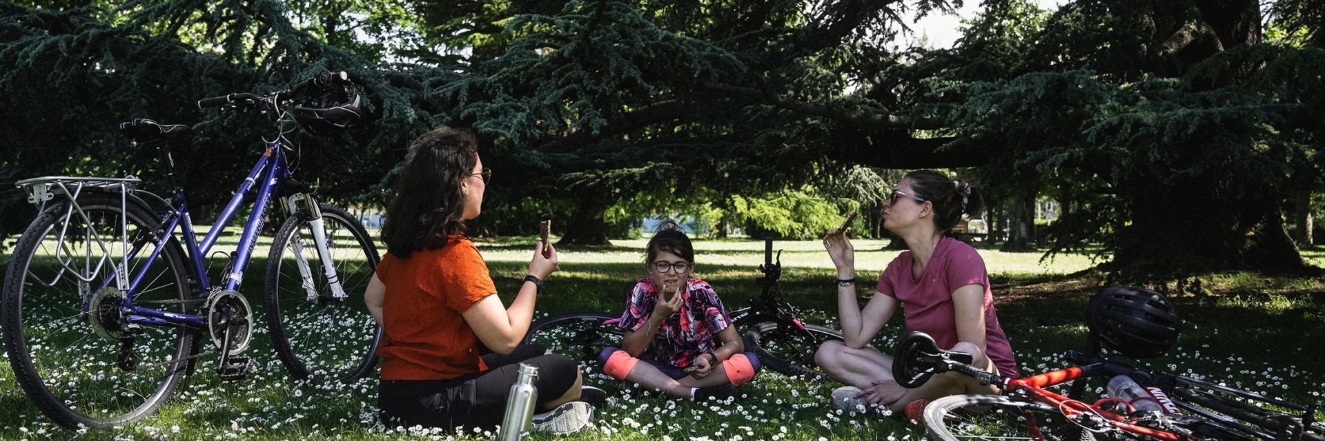 Picknick in Publier