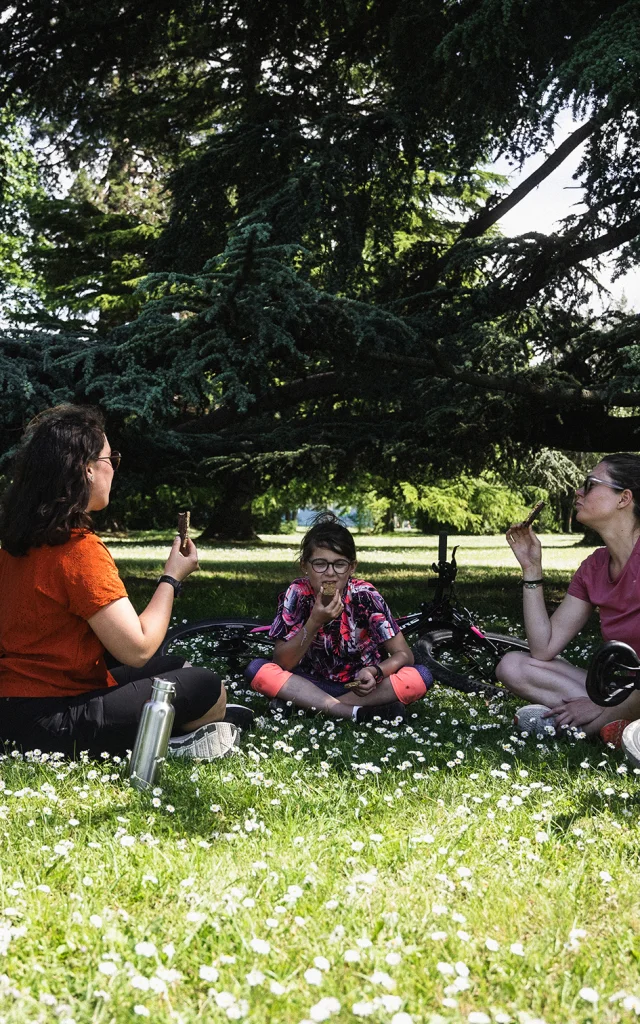 Picnic in Publier