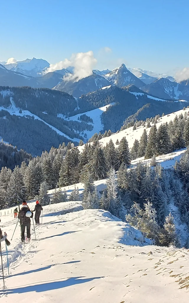 Randonnee Cretes Des Memises Avec Alpevian Nature