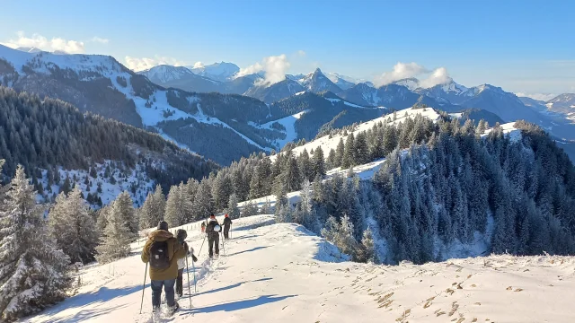 Randonnee Cretes Des Memises Avec Alpevian Nature