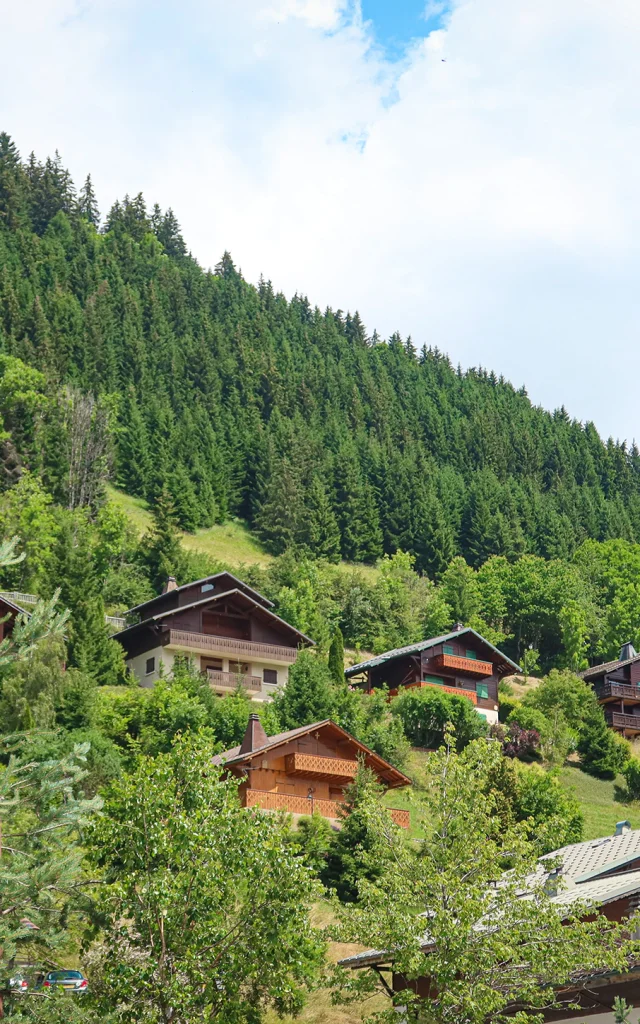 Dorp Lachapelledabondance Zomer 6juli2023 Maxencepareyt 4