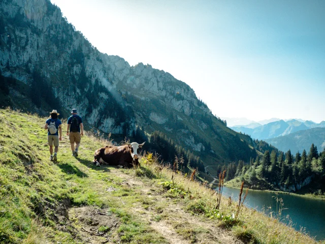 Lac D Arvouin Randonnee La Chapelle D Abondance 230824 Marie El Hajal 67 1