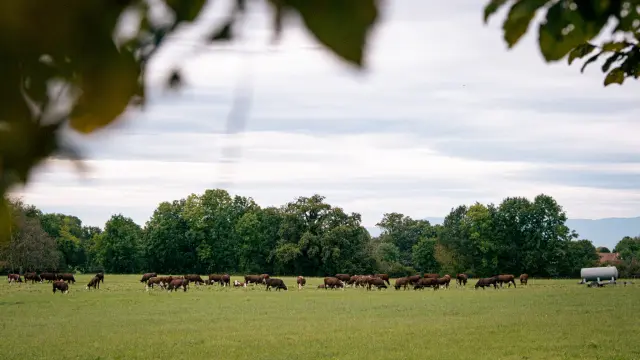 Larringes Herfst 91024 Marie El Hajal 01