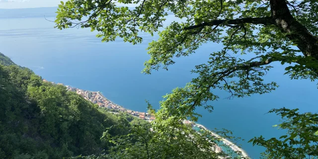 Randonnee Sentier Du Littoral Meillerie 18 05 2022 Lamzouri Sirine 17