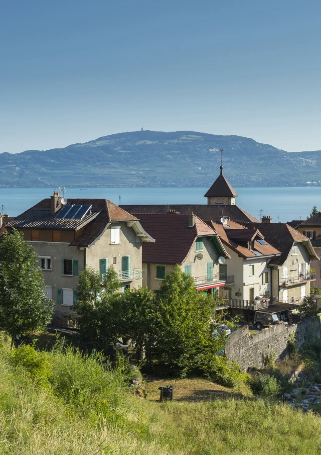 pays d'Evian vallée d'Abondance été 2020